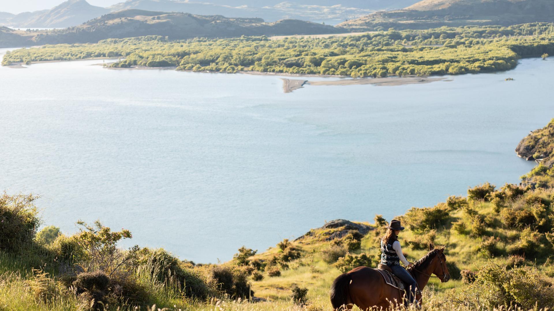 Horse rider overlooking the bright blue waters of Lake Wānaka, surrounded by native bush and distant hills.